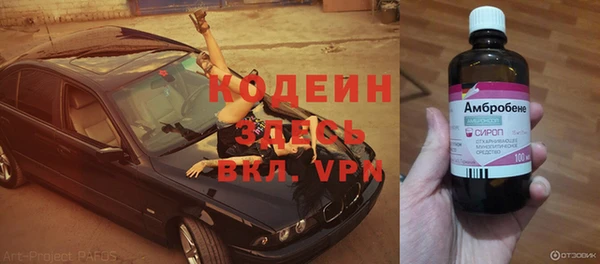 крисы Михайловск