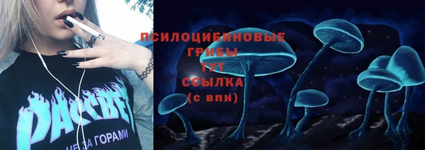 прущая мука Михайлов