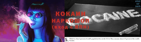 крисы Михайловск