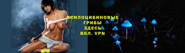 крисы Михайловск