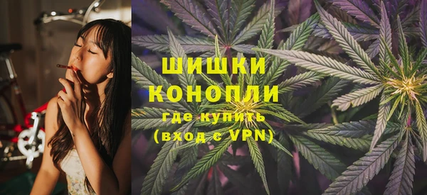 крисы Михайловск